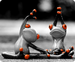 Immagine di un corso di ginnastica dolce